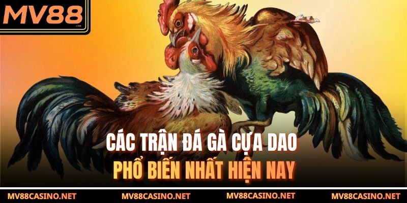 Các trận đá gà cựa dao phổ biến nhất hiện nay