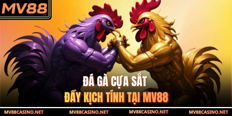 Đá gà cựa sắt đầy kịch tính tại MV88